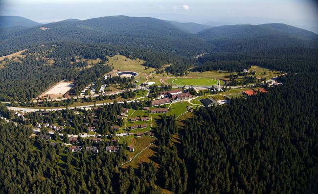 531-77-rogla5.jpg