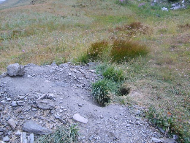 90-69-Quyerasx54.jpg